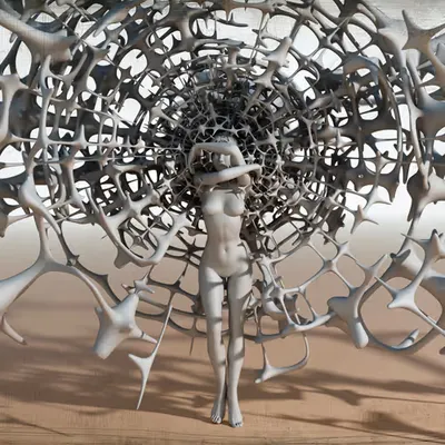Cortex II