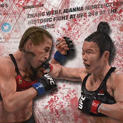 Historic Fight 248