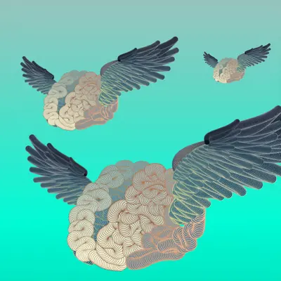 Flying Blind