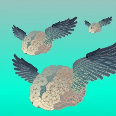 Flying Blind