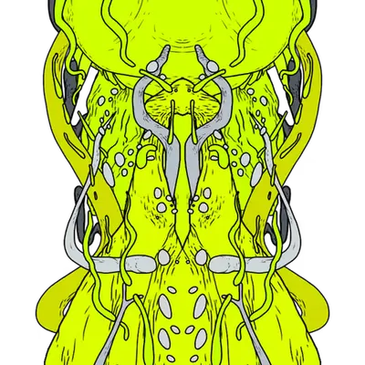 236182118