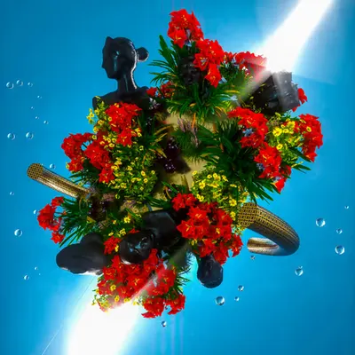 disˈfôrēə
