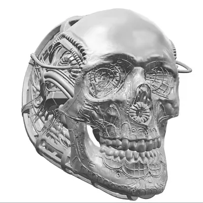 Modified Skull VR