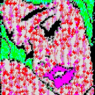 Don't Cry Alice
