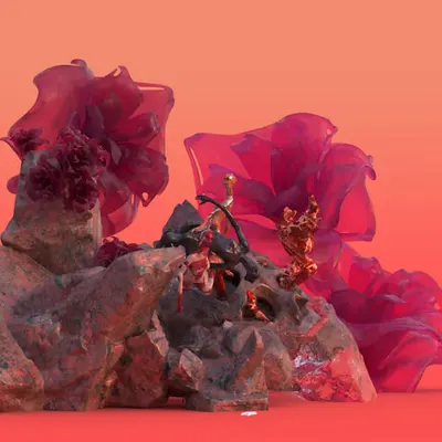Elements of Coral