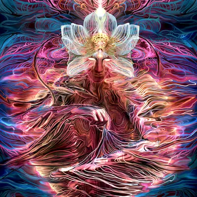 Lotus Guidance
