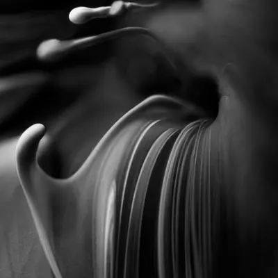 Canticum Atramento