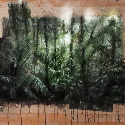 Wabi-sabi Rainforest