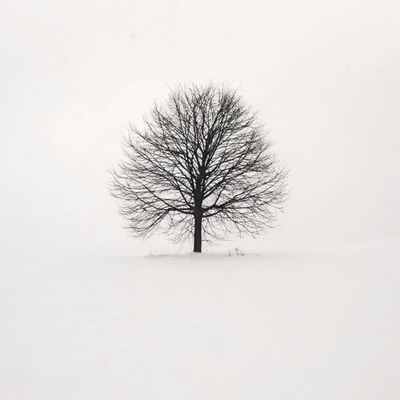 Solitude