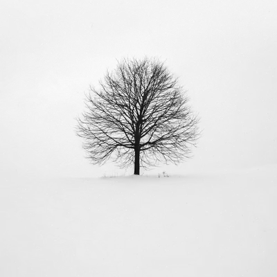 Solitude