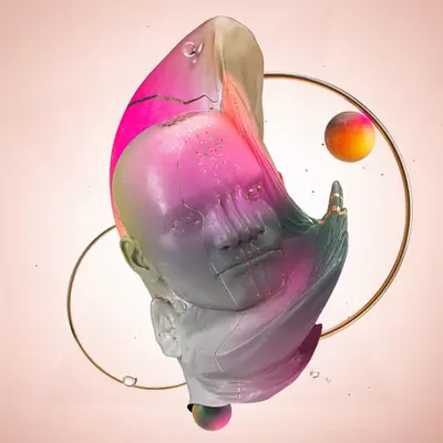 Sapudae