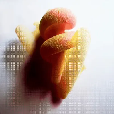 For the Love of Pasta, and Code