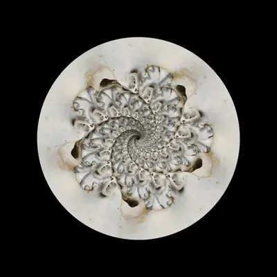 Carnivorous Moon
