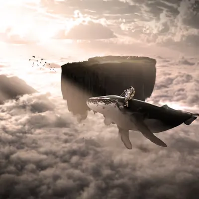 Ride The Whale To The Moon
