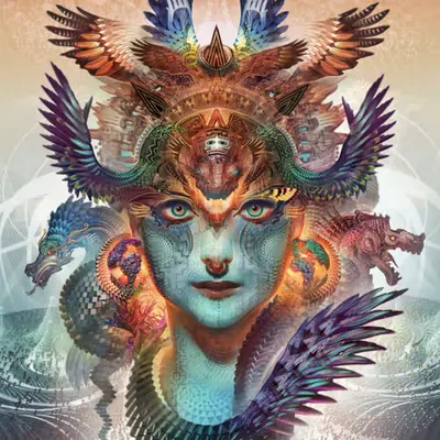 Dharma Dragon