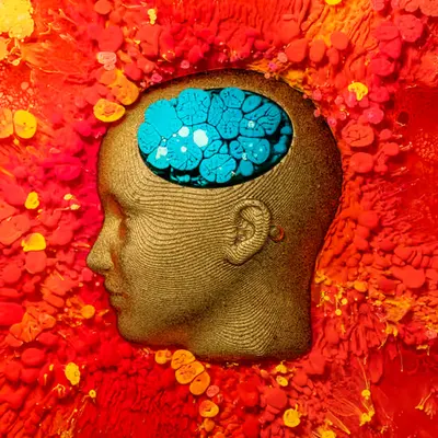 Bobby's Brain