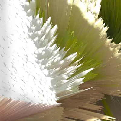 Flowers II/VI