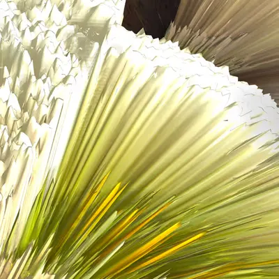 Flowers III/VI