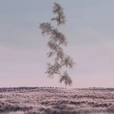 Electric Nature