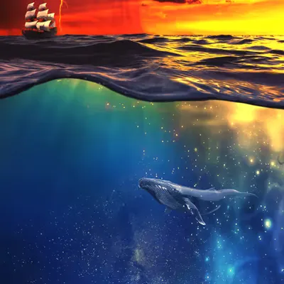 WHERE IS THE END?