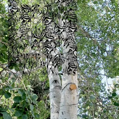 Aspen, Your Own Latent Tree House