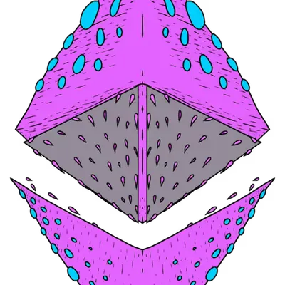 V.216174224