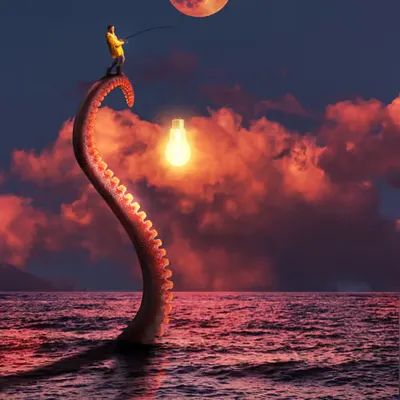 FISHING FOR IDEAS