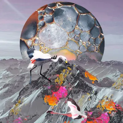 Flamingo Moon
