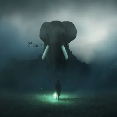 OUT OF THE DARK