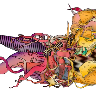 morph_260203835