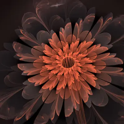Fractal Flower (1 of 4)