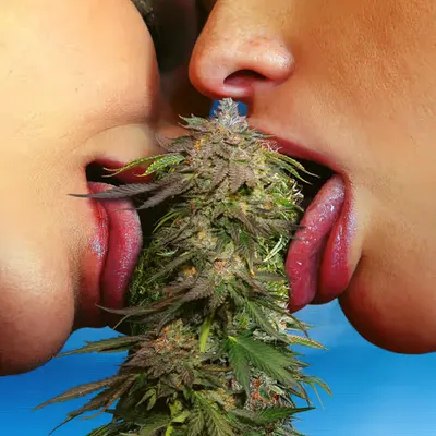 NUGS