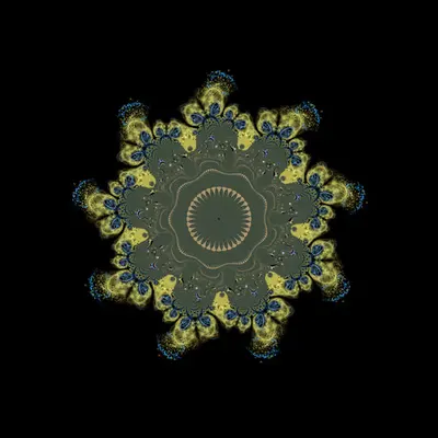 Shtern Anemone