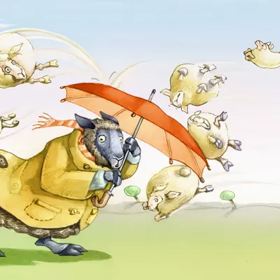 Raining sheep 