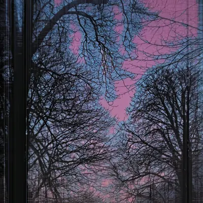 Dendrite Wanders