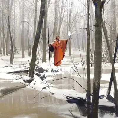 Winter flight