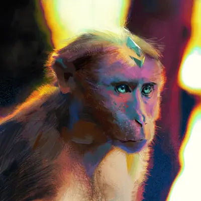 Ethereum Monkey