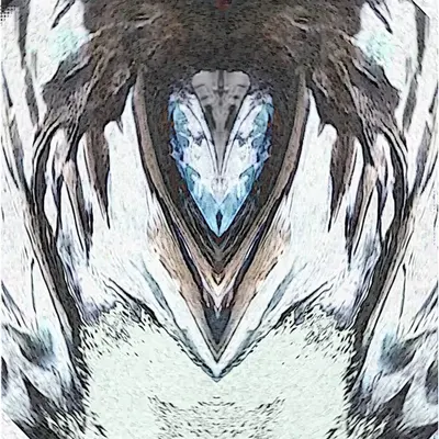 Spirit of the Raven