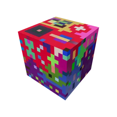 H2R21022021