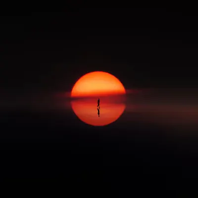 Reflection of Solitude