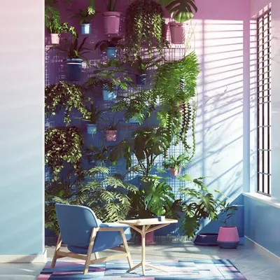 Gradient Dreams