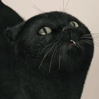 Black Pearl