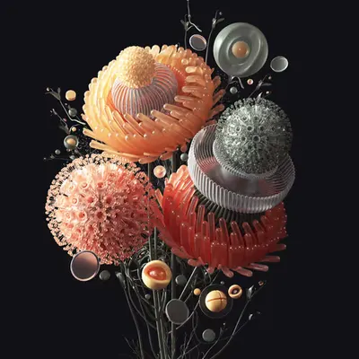 Haeckel's Bouquet