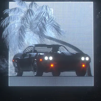 The Showcase