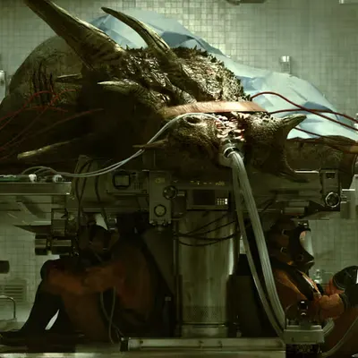 Dragon Surgery