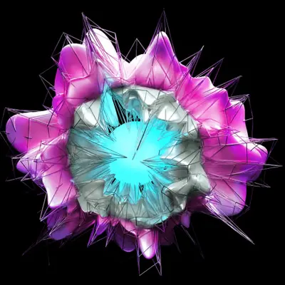 Ecleptic Bloom