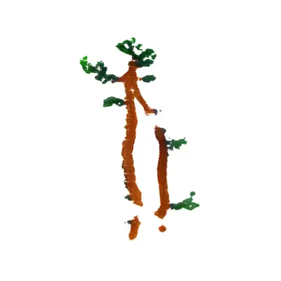 streptogranum aellocaulis