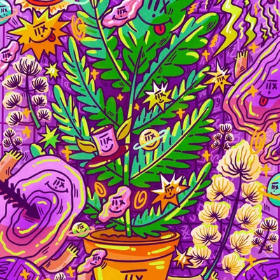 DMT