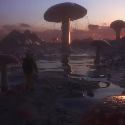 Fungi Dame