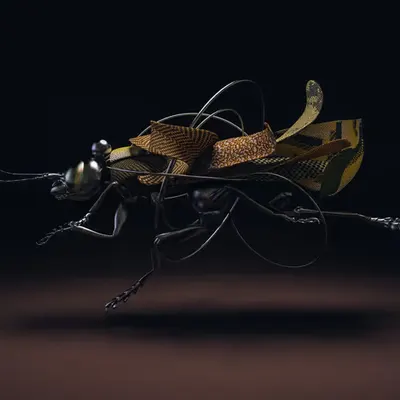 Cecropia